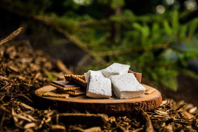 Snyders campfire s'mores kits