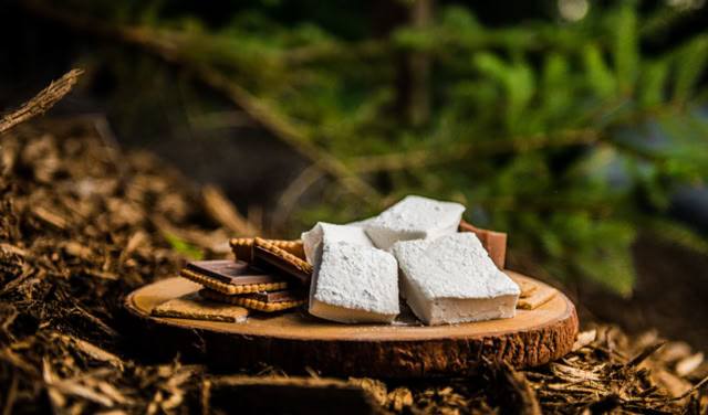 Snyders campfire s'mores kits