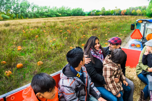 A group of people sitting in a wagon on a hayride through a pumpkin field.