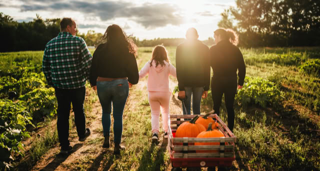 Family walking with a wagon of pumpkins through a field at sunset.