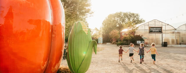 Kids walking together on a farmyard past sculptures of a pumpkin and corn.