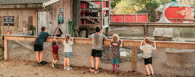 Kids looking over the fence at an animal pen.
